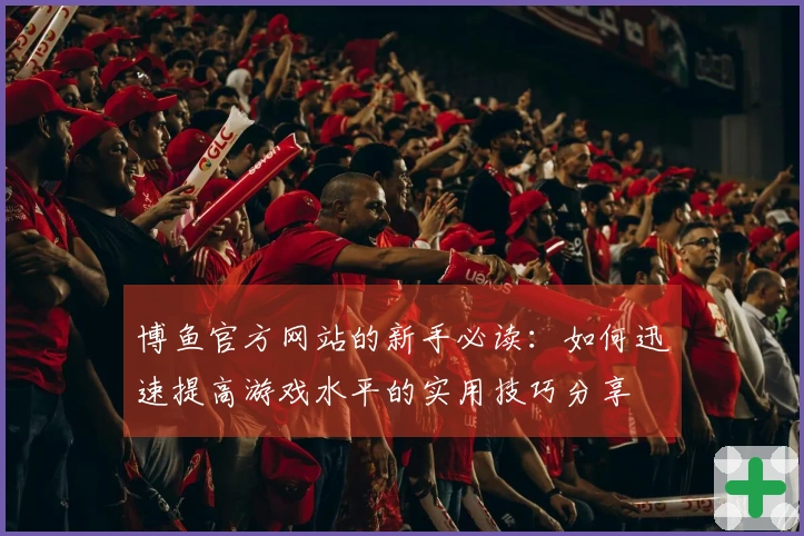 博鱼官方网站的新手必读：如何迅速提高游戏水平的实用技巧分享