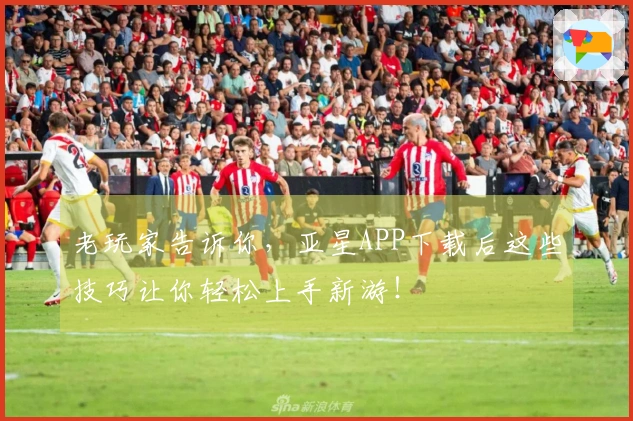 老玩家告诉你,亚星APP下载后这些技巧让你轻松上手新游!